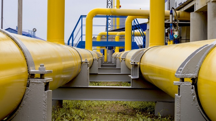 A Ukrainian company, for the first time, has transported biomethane using the domestic gas transmission system and has plans to export.