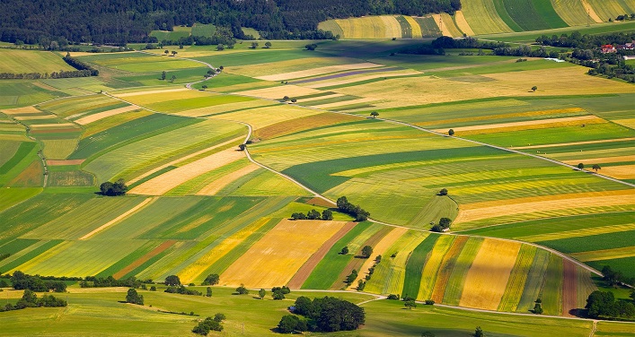 The land market has become more active in Ukraine; how have prices for agricultural land changed?