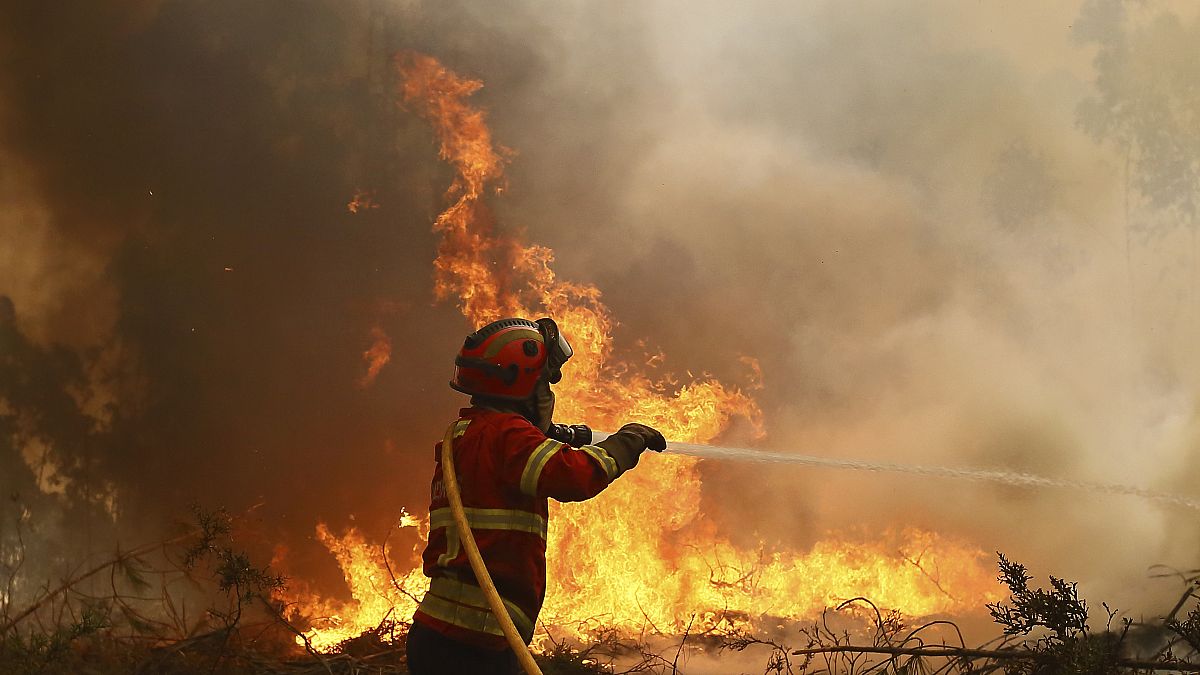 Video. WATCH: State of calamity declared as Portugal’s fires worsen