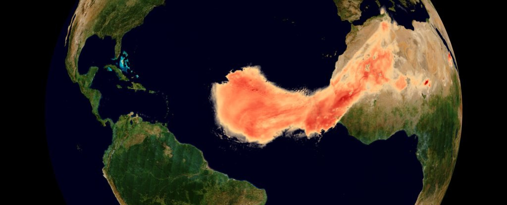 Our Atmosphere Transforms Dust From The Sahara Into Minerals That Fuel Life : ScienceAlert