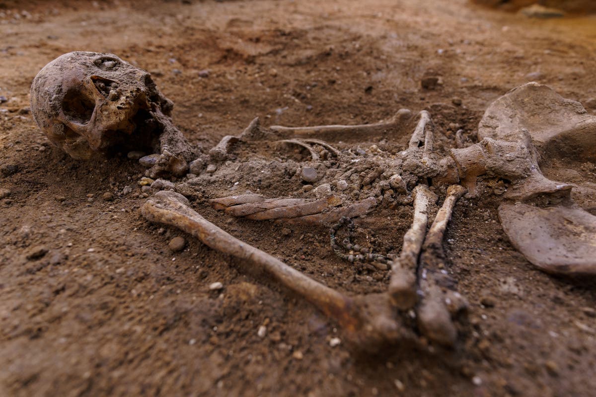 French man discovers medieval skeletons and sarcophagi while renovating cellar