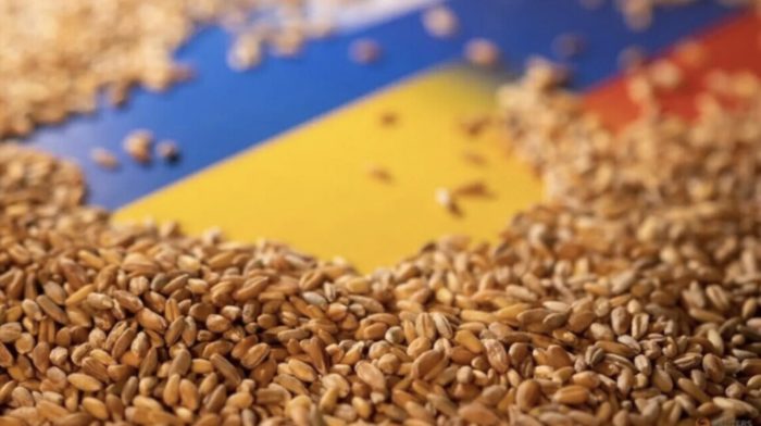 Russia receives at least $1 bn in profits from grain stolen in occupied Ukraine