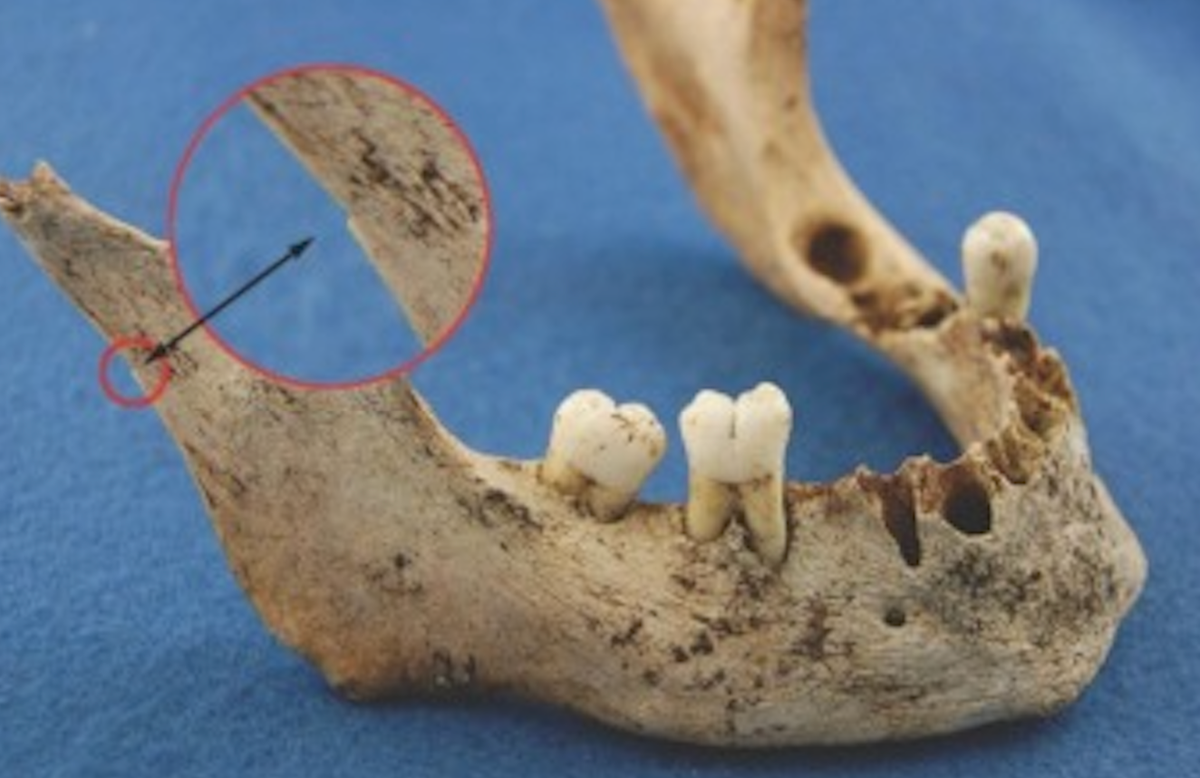 Scientists finally identify cannibalised remains from doomed 1845 British Arctic expedition