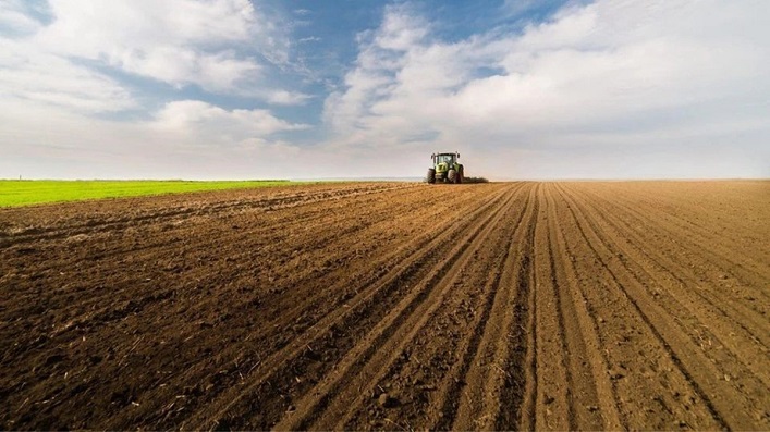 In one of Ukraine’s regions, land prices have risen to record levels during the war.