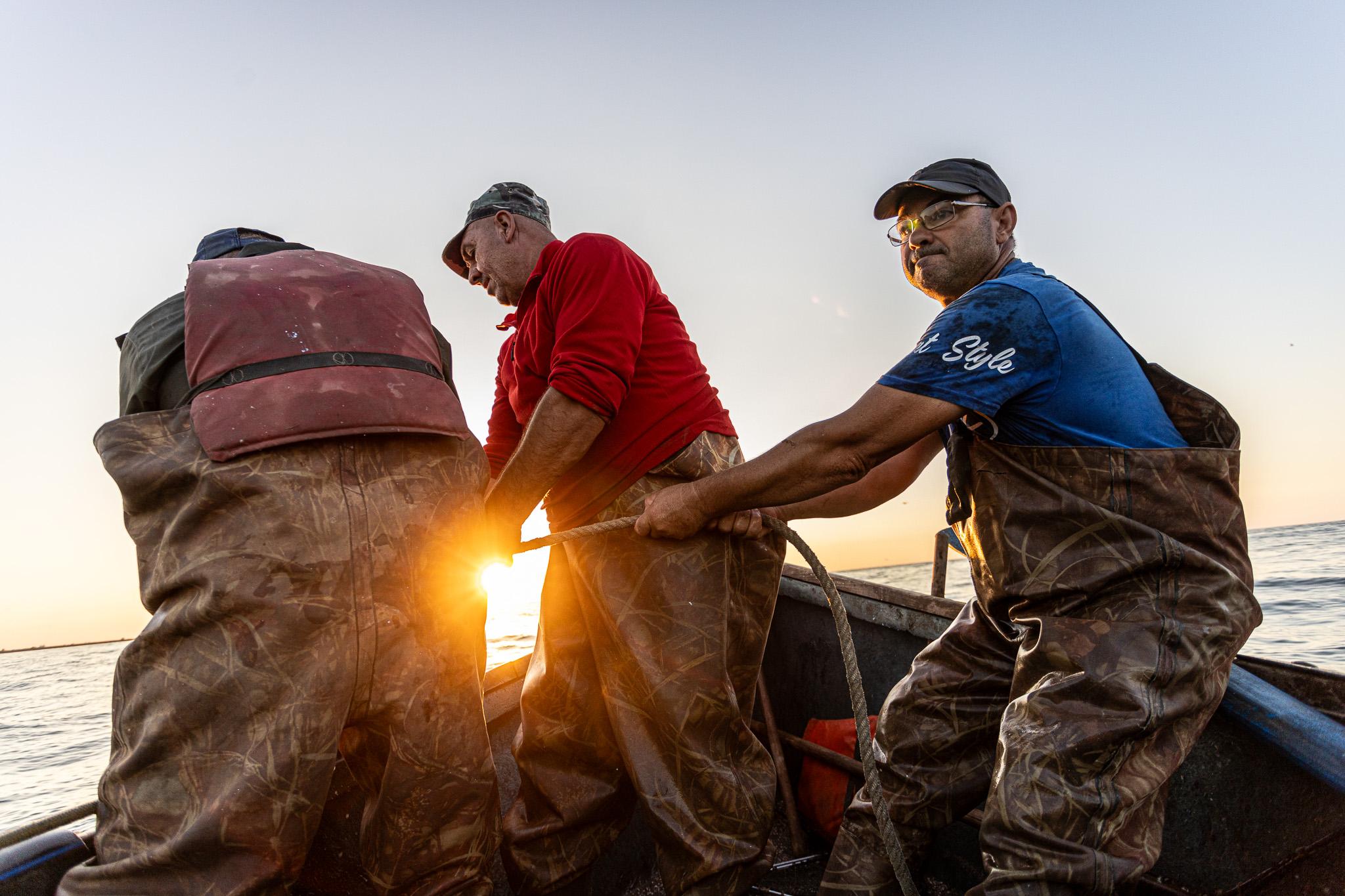 Russia’s war devastates Black Sea ecosystems and communities