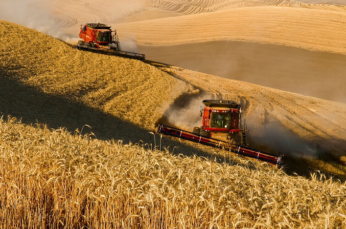 The wheat harvest exceeds Ukraine’s domestic needs by almost 300%, and sunflower oil exports are higher than pre-war indicators.