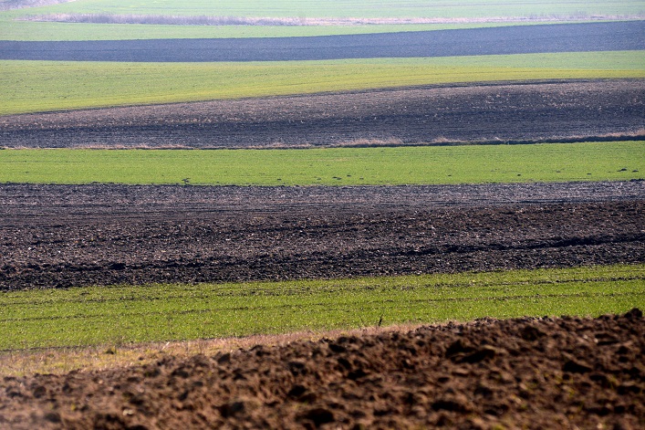 Land reform in Ukraine has been launched, and in the coming years land prices may increase by 20% – Ministry of Agrarian Policy.