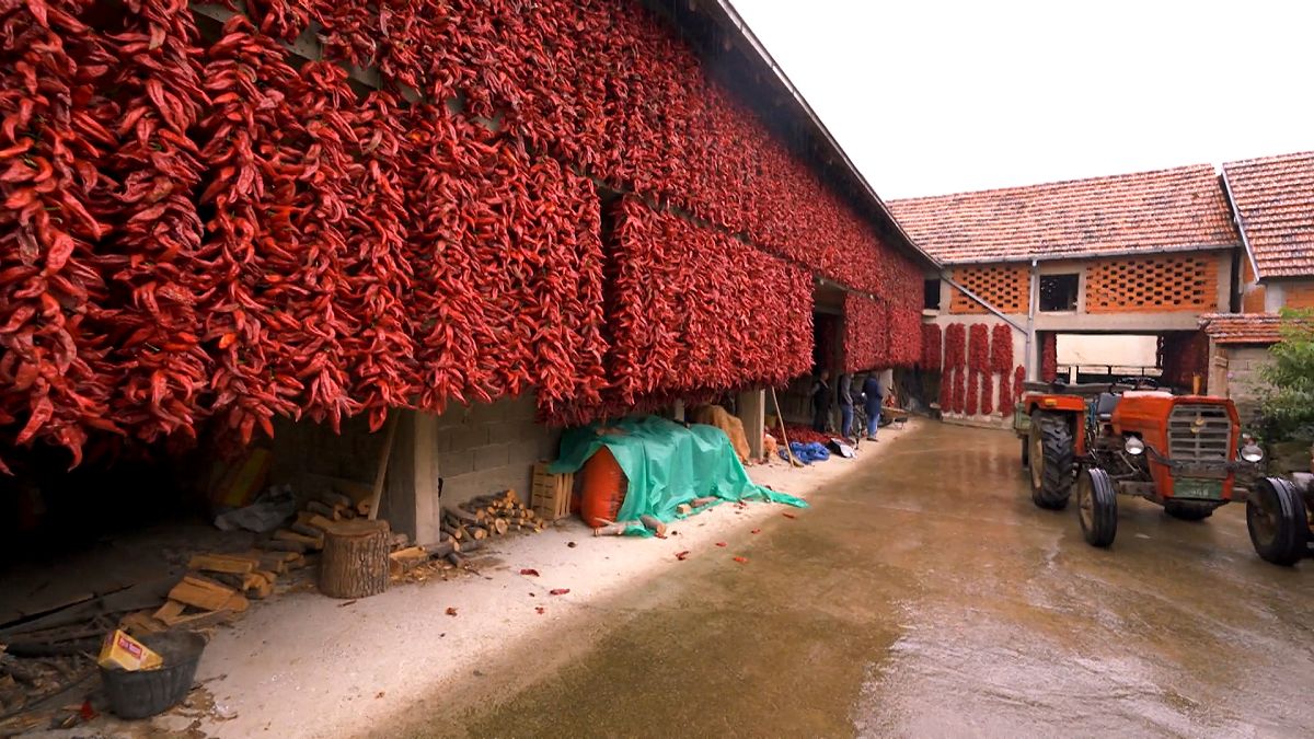 Explore Serbia’s red village of Donja Lokošnica and the Unesco-listed Pirot carpet craft