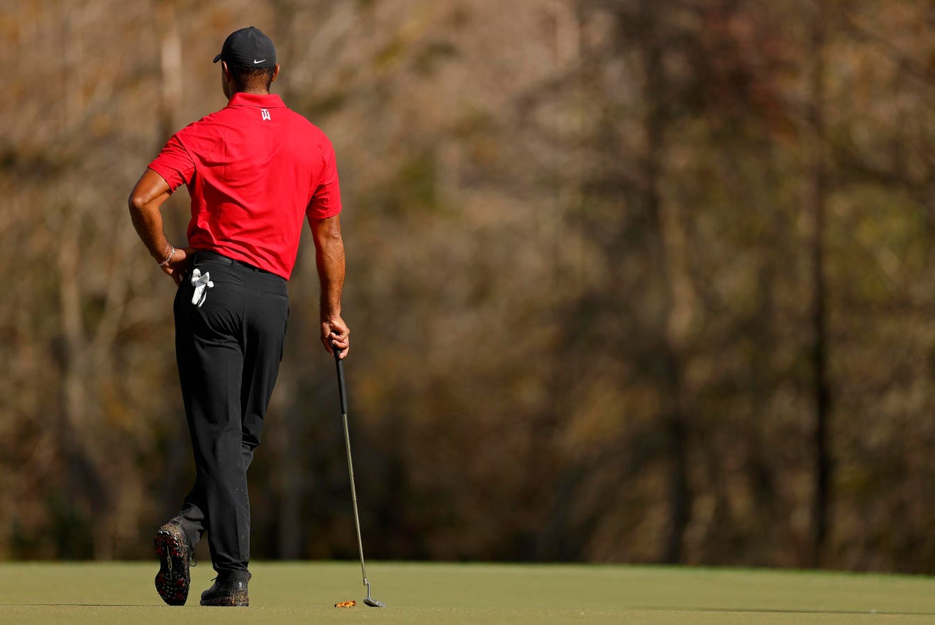 Tiger Woods had his 6th Back Surgery in 2024. How Does That Happen?