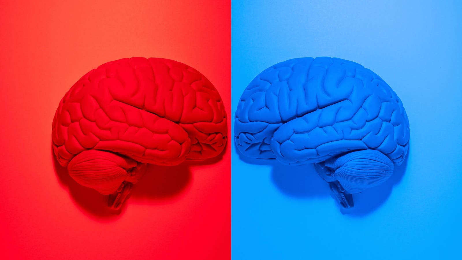 How Much Of Your Political Ideology Is Due To Your Brain Structure?