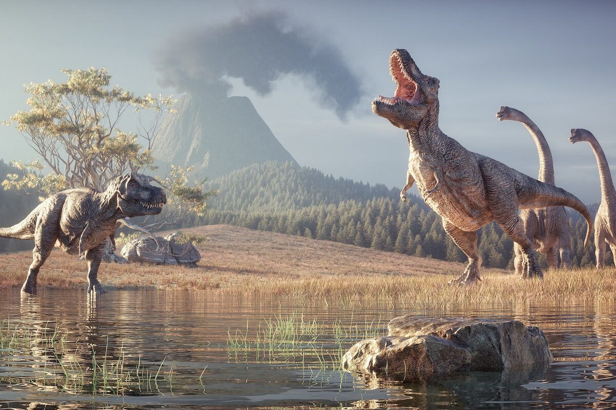 We finally know how the dinosaurs ended up ruling the planet