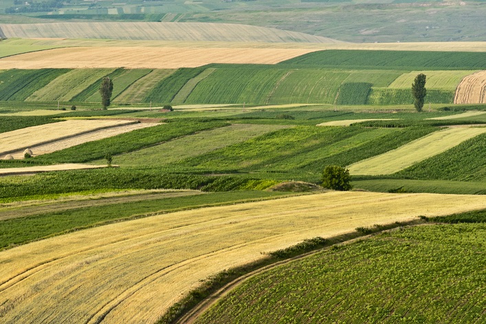 What will happen Ukraine’s agricultural land prices?