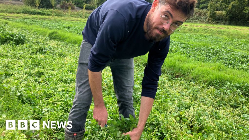 The hybrid workers in France seeking fulfilment in the fields