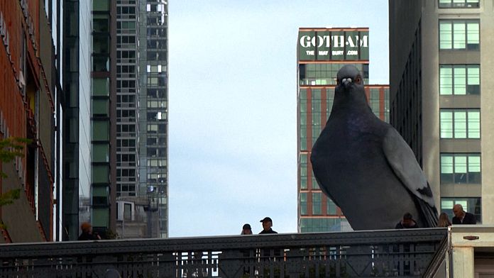 Giant sculpture of a pigeon in New York has the city in a flutter