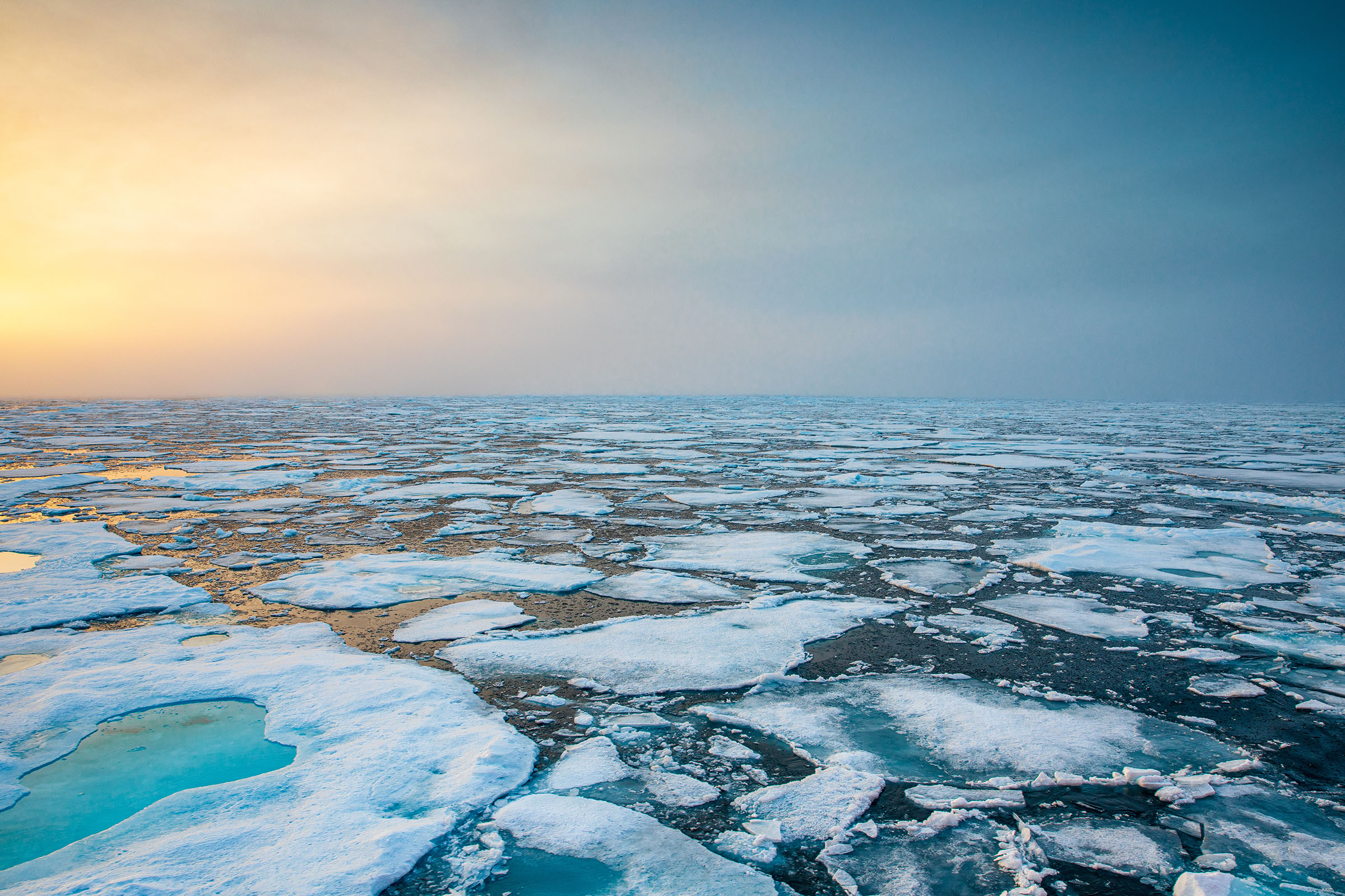 ‘Finger of Death’ is a bizarre ocean phenomenon that kills whatever it touches