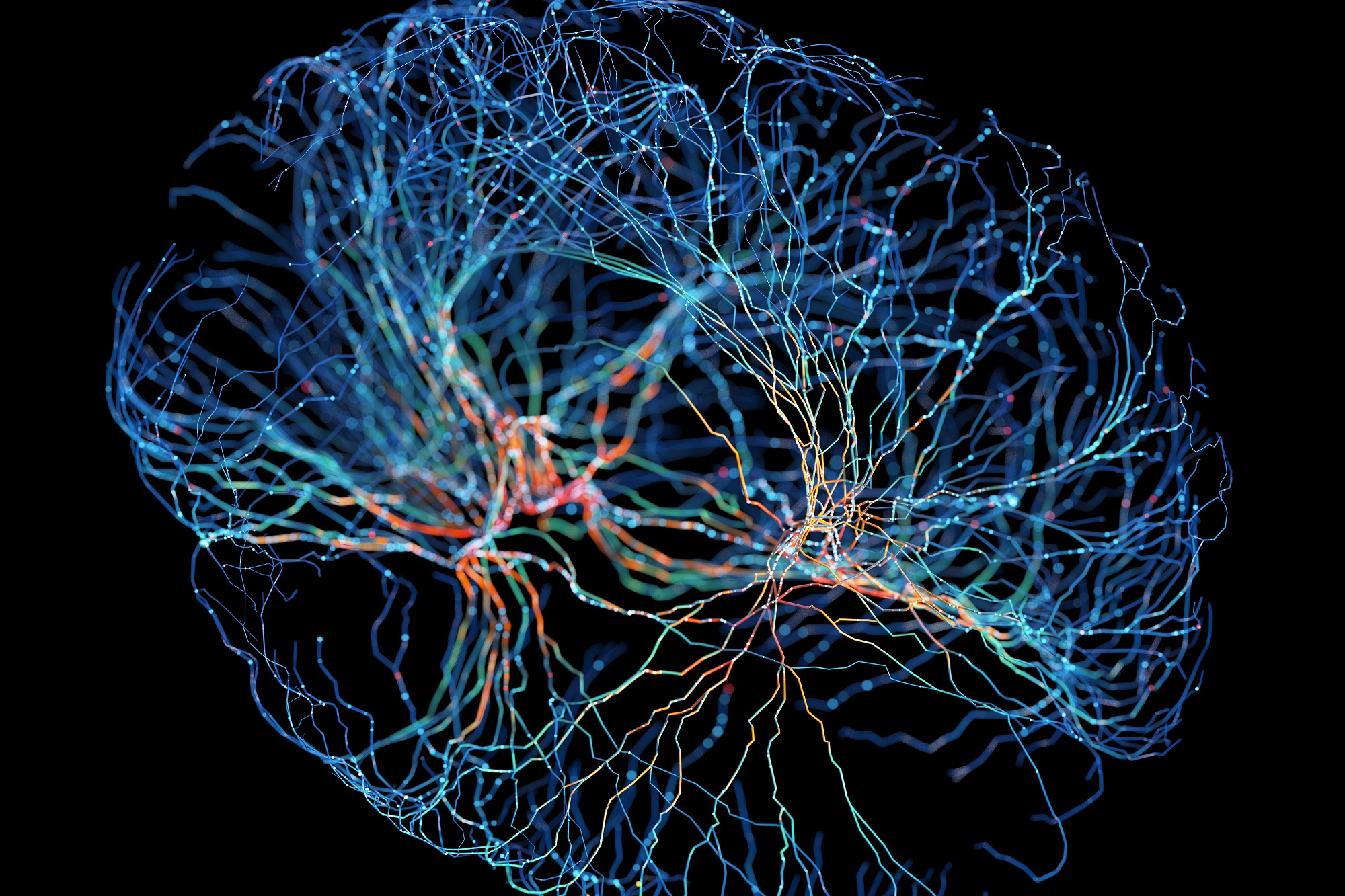 Incredible 3D diagram lets you zoom into a brain like Google Maps