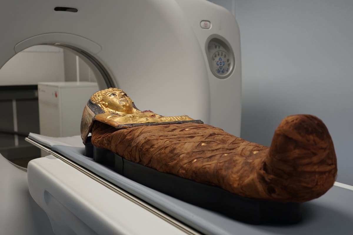 CT scans finally reveal how 3,000-year-old Egyptian ‘locked mummy’ was enclosed in sealed coffin