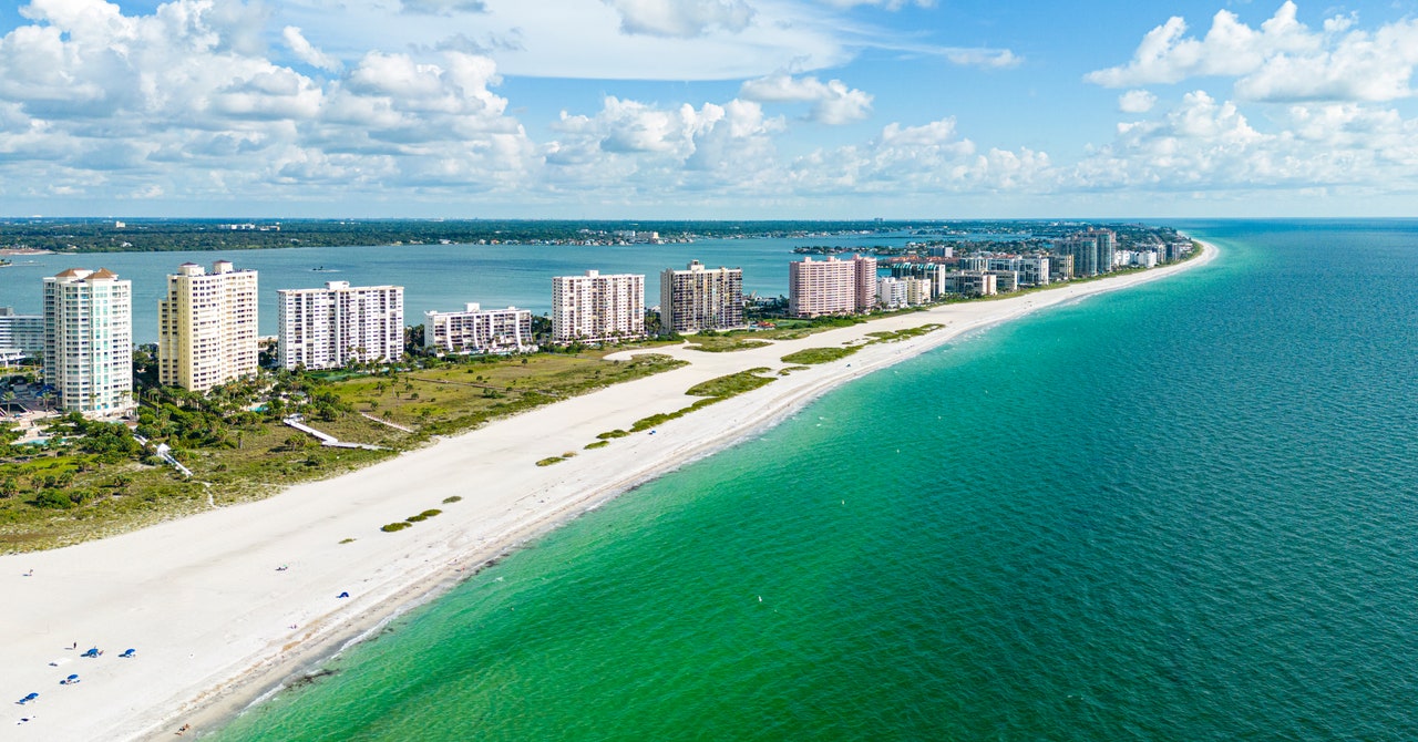 DARPA Thinks Walls of Oysters Could Protect Shores Against Hurricanes