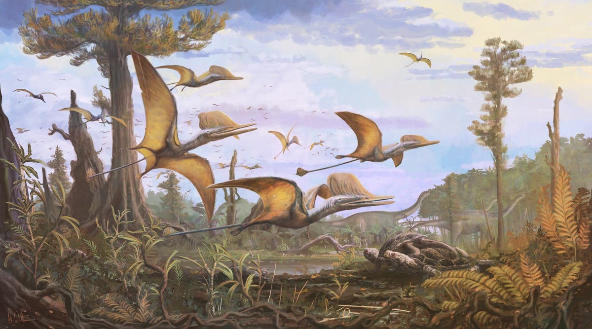 Scientists discover secret of the largest flying animals to have ever lived