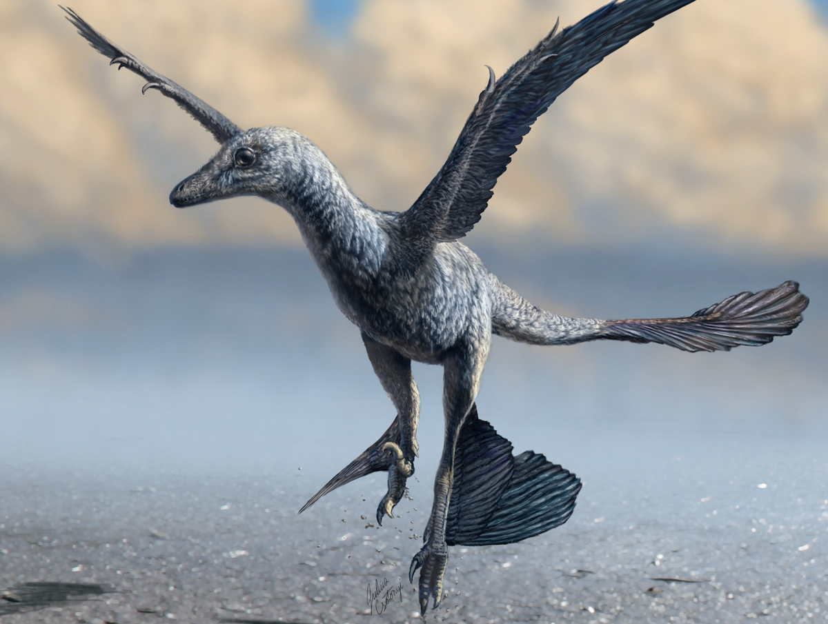 Fossil tracks unearthed in South Korea reveals new ways dinosaurs used wings