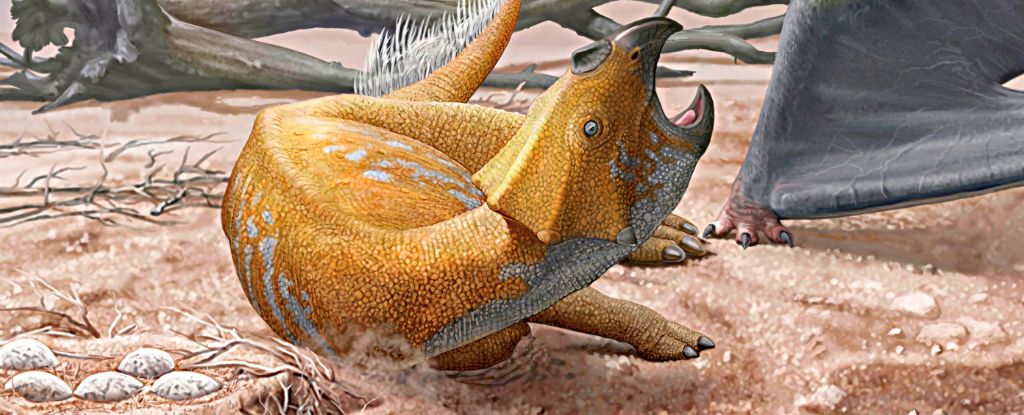 Scientists Peered Inside The Tiniest Dinosaur Egg Ever Found : ScienceAlert