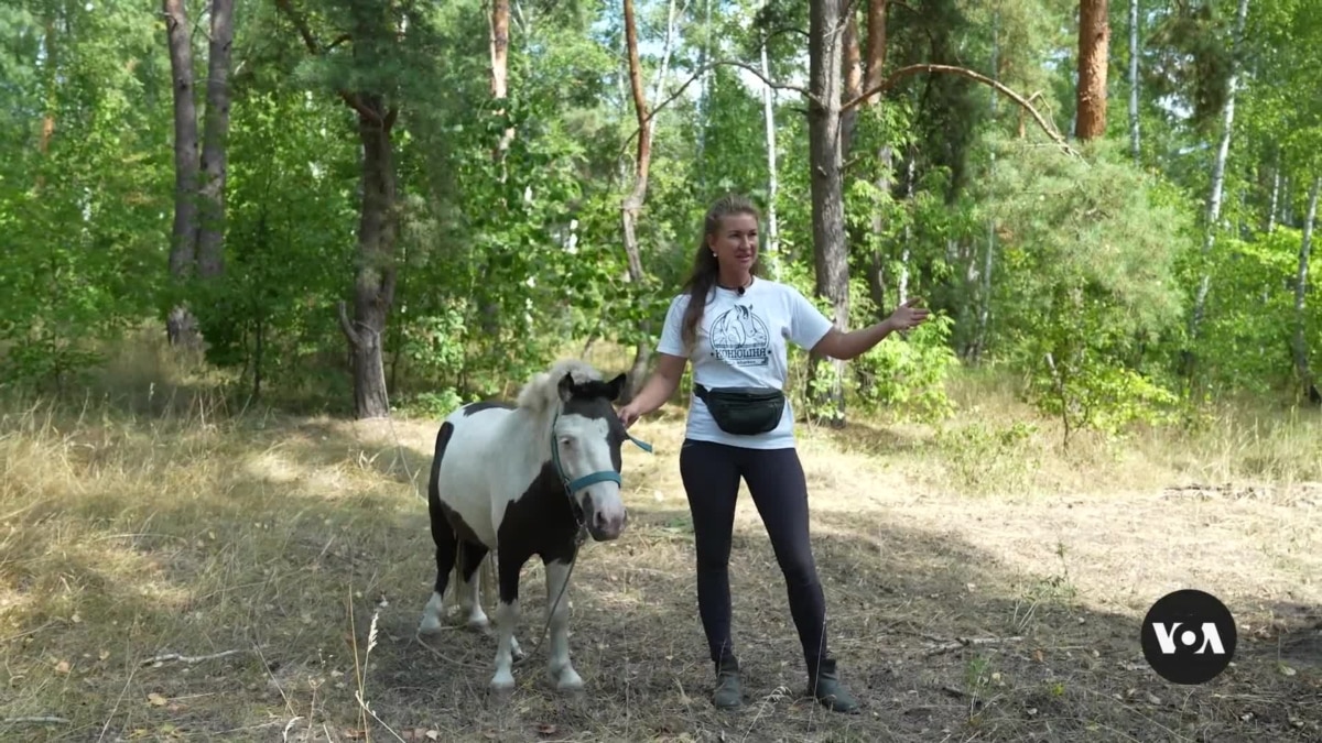 Time with horses is helping some Ukrainian kids deal with war