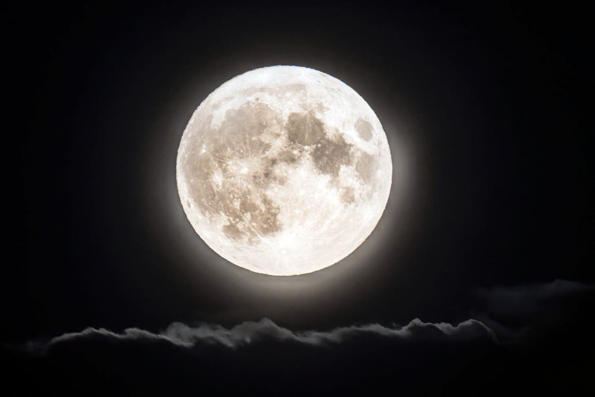 ‘Largest and brightest’ supermoon of the year set to delight skygazers