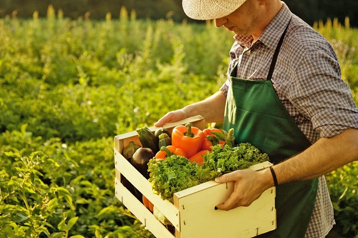 Canada will provide Ukraine with a $300M soft loan, and USAID will mobilize another $1.75B to support farmers.