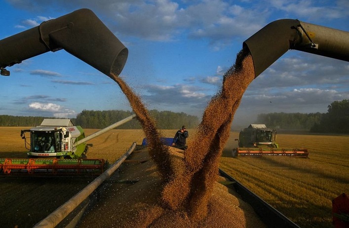 Ukraine exports about 40 million tons of grain this season, and the shipment rate has increased by 100%.