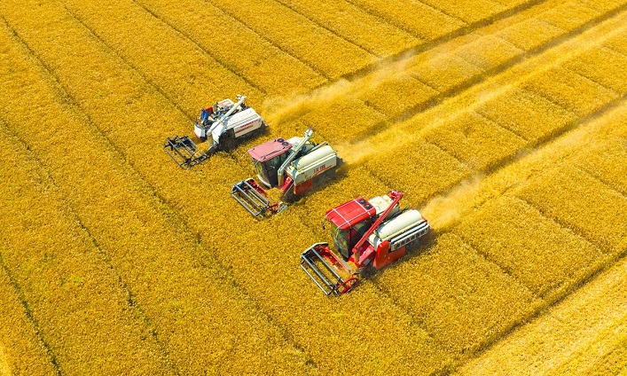 The 2023 harvest brought 200% more profit to Ukrainian companies.