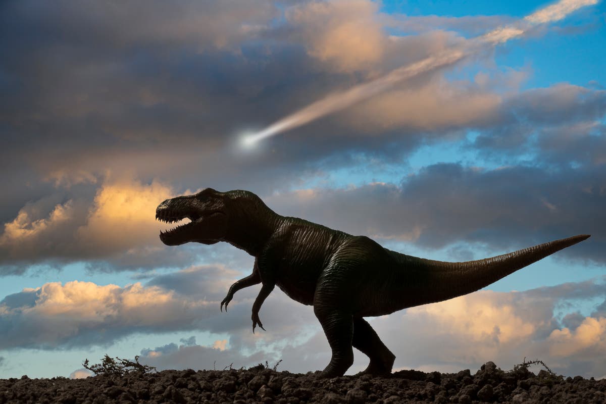 Scientists discover another crucial detail about the asteroid which killed dinosaurs – after 66 million years