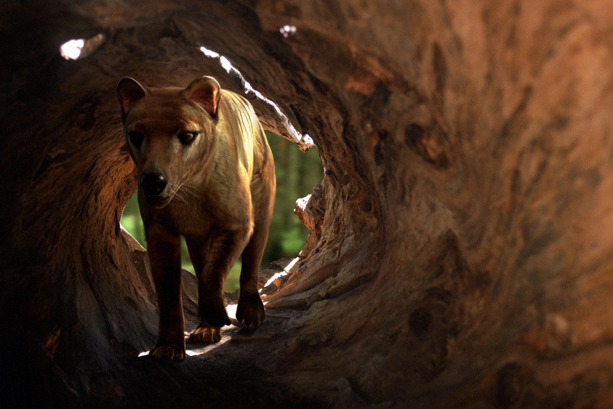 Scientists could soon resurrect the Tasmanian tiger. Should we be worried?