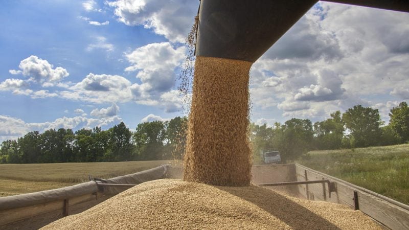 Russians stole 180 thousand tons of Ukrainian grain through Mariupol port