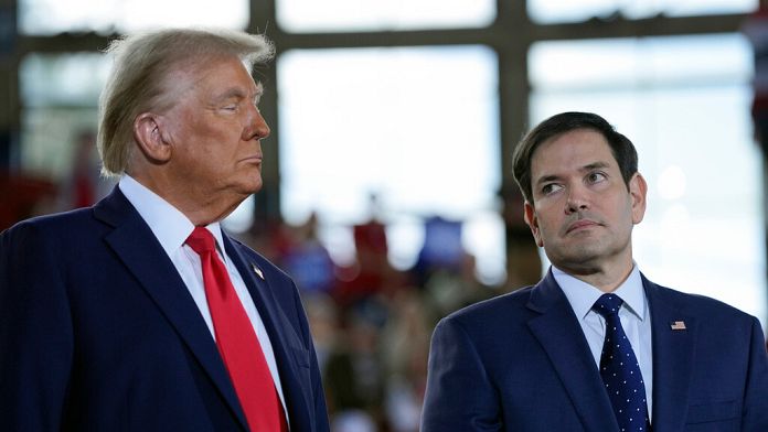 Trump to appoint hardliners Rubio and Waltz as foreign policy chiefs, reports claim