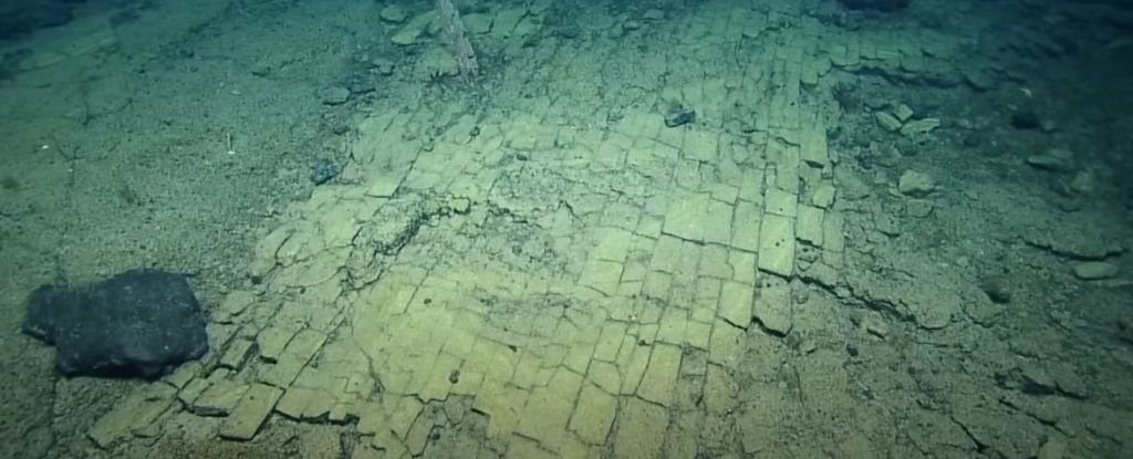 Scientists Found a ‘Yellow Brick Road’ at The Bottom of The Pacific Ocean : ScienceAlert