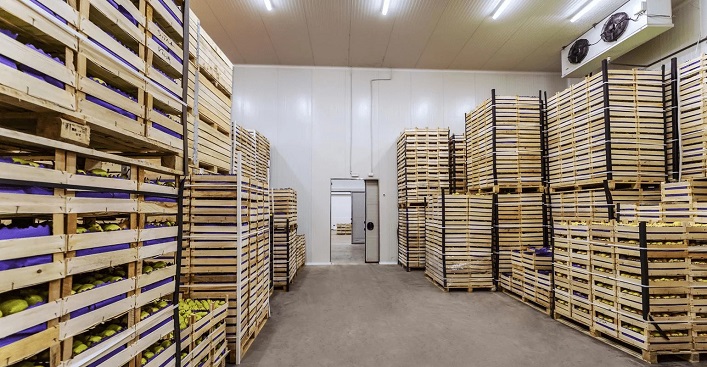 The Mykolaiv region is repairing storage facilities for long-term storage of fruit and vegetable products.