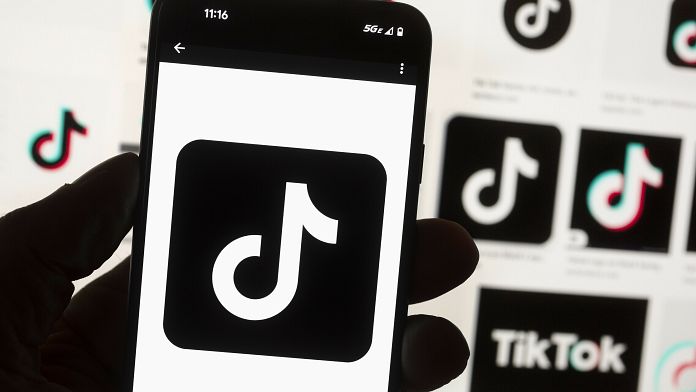 Trump asks Supreme Court to pause TikTok ban so he can review 'merits' of the case