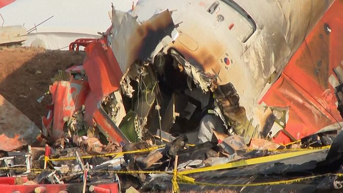 Inspection of South Korean plane crash site continues