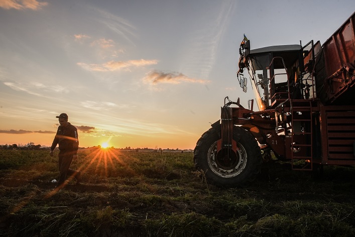 The Ukrainian agricultural sector has suffered $80B in losses and lost 25% of its sown area due to the war.