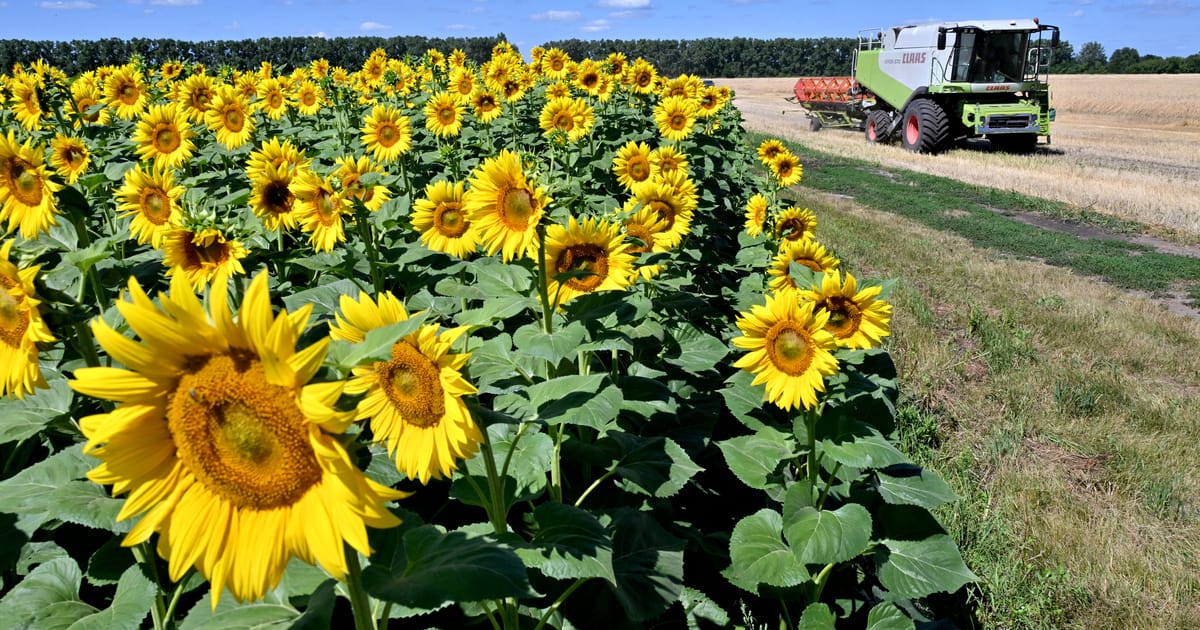 Czech farmers lead fresh EU border protests over Ukraine, LatAm trade deals – POLITICO