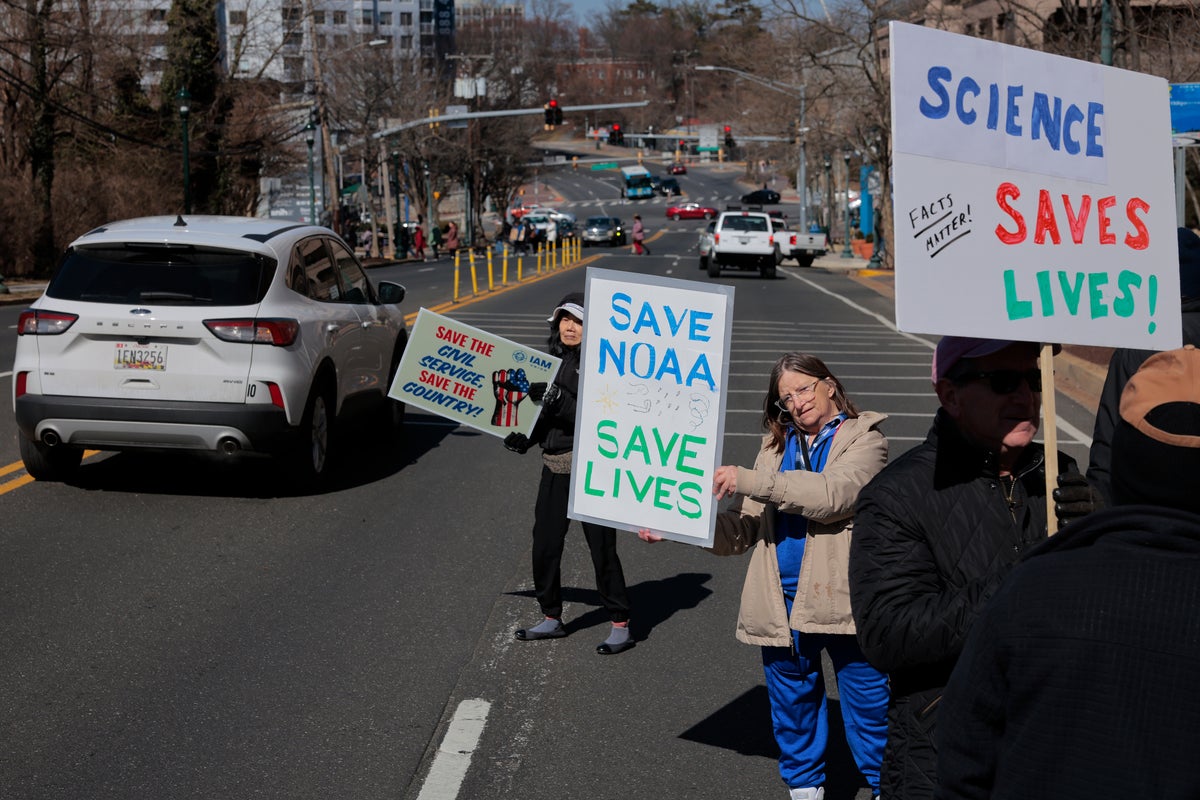 ‘Stand up’: Scientists launch major protest against ‘devastating attacks’ by Trump administration