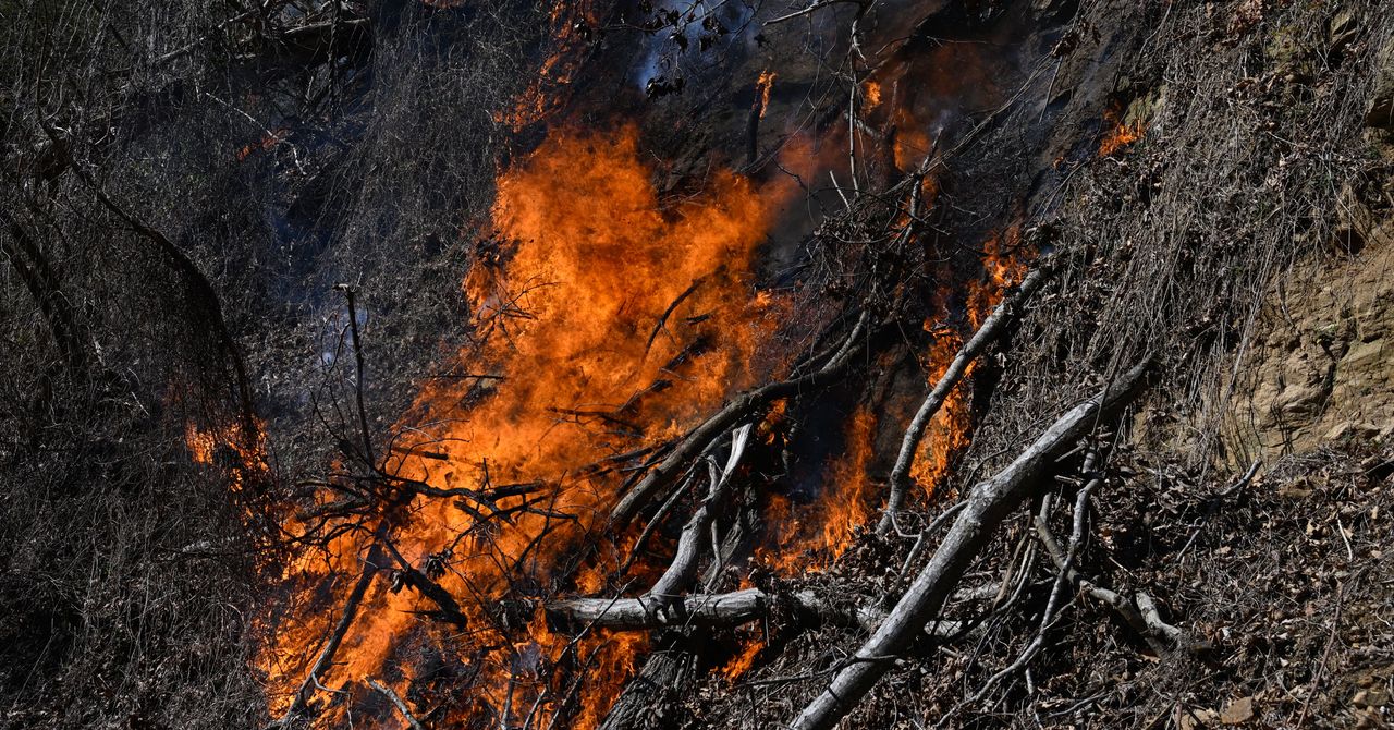 The Extreme Weather Conditions That Drove the Carolina Wildfires