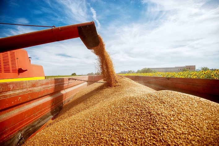 The price for one ton of Ukrainian agricultural exports has increased by 40% compared to 2024.