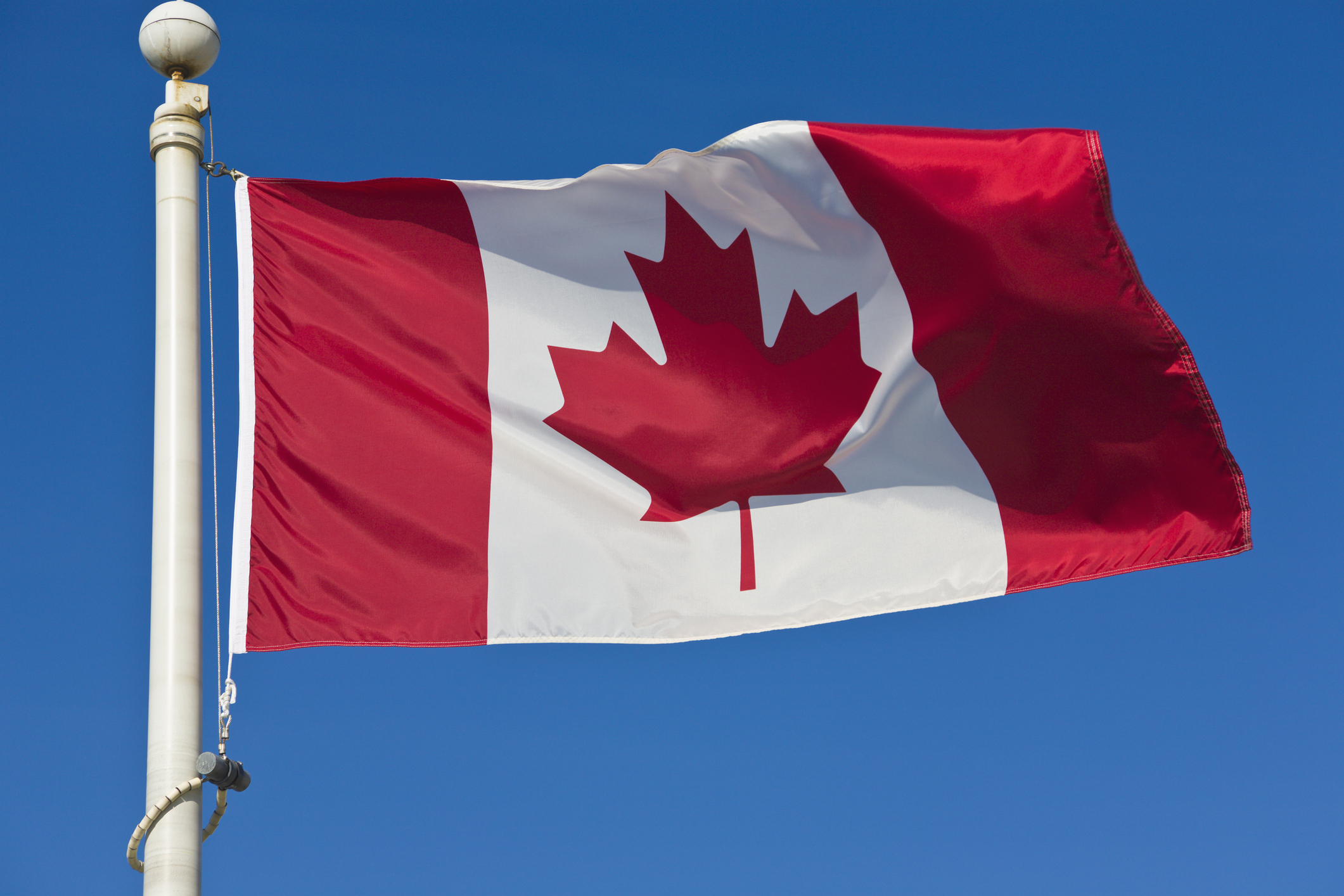 Canadians Get Into An Ugly Golf Course Fight Over Slow Play