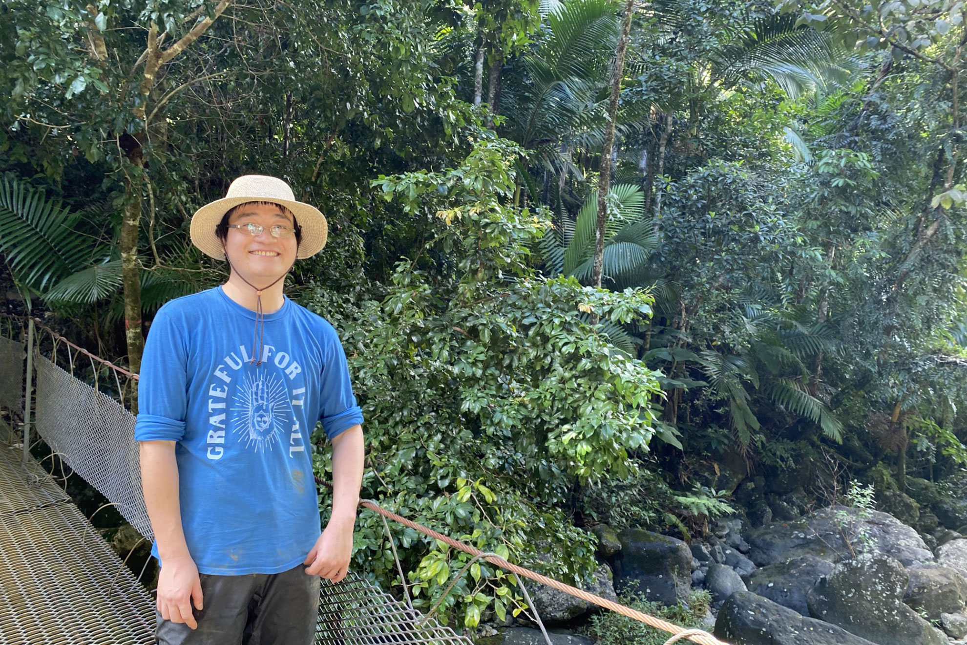 Lower canopies show struggle for tropical forests — Harvard Gazette