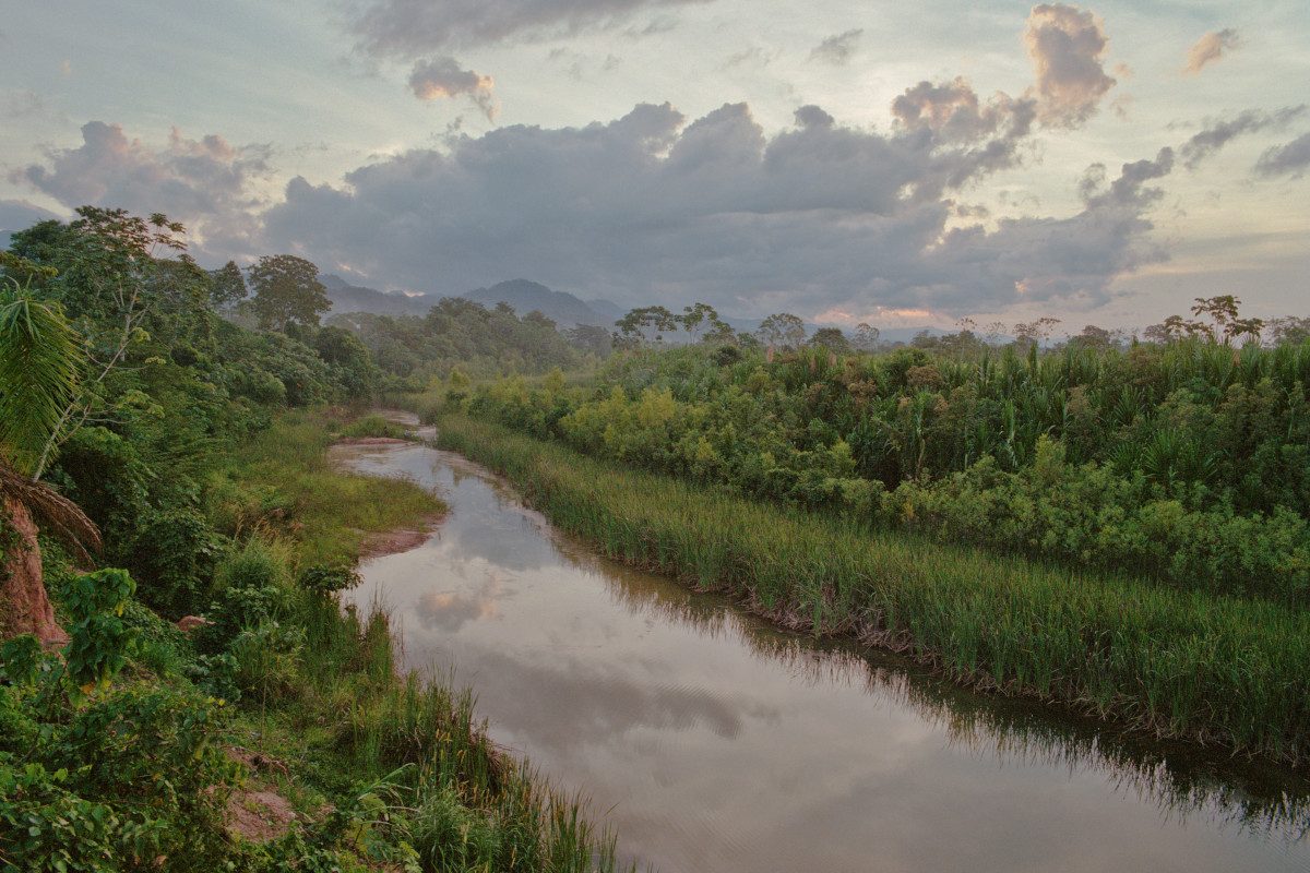 The hidden ancient mega-cities of the Amazon are finally revealing their secrets