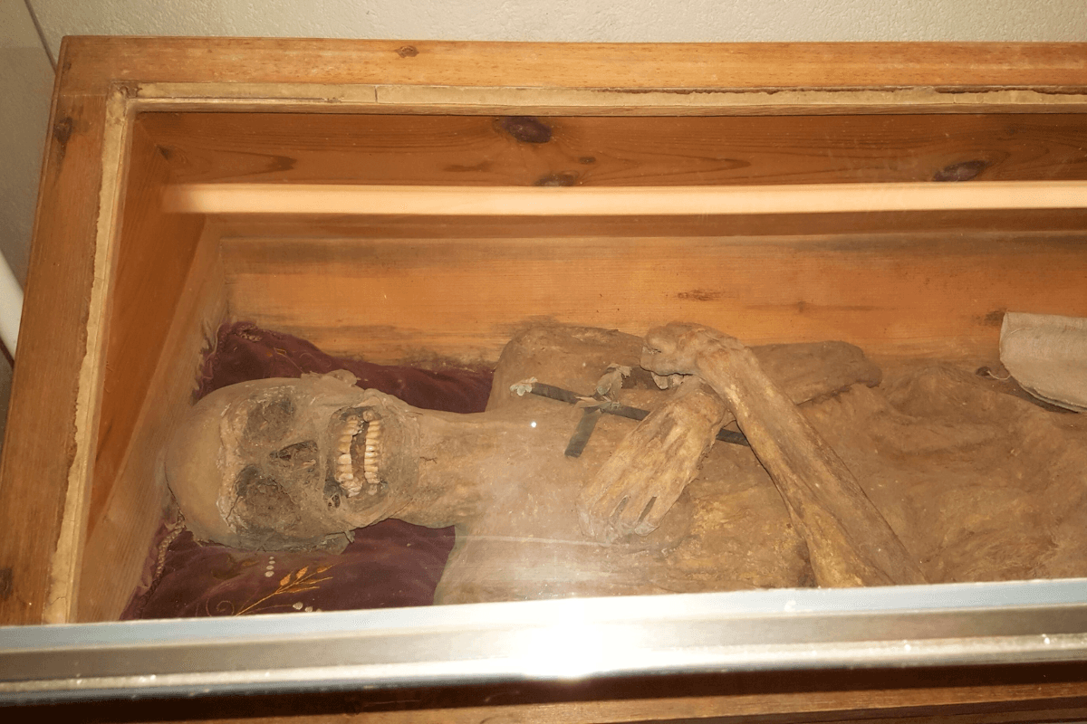 Mummy preserved with bizarre rectal embalming method discovered by archaeologists
