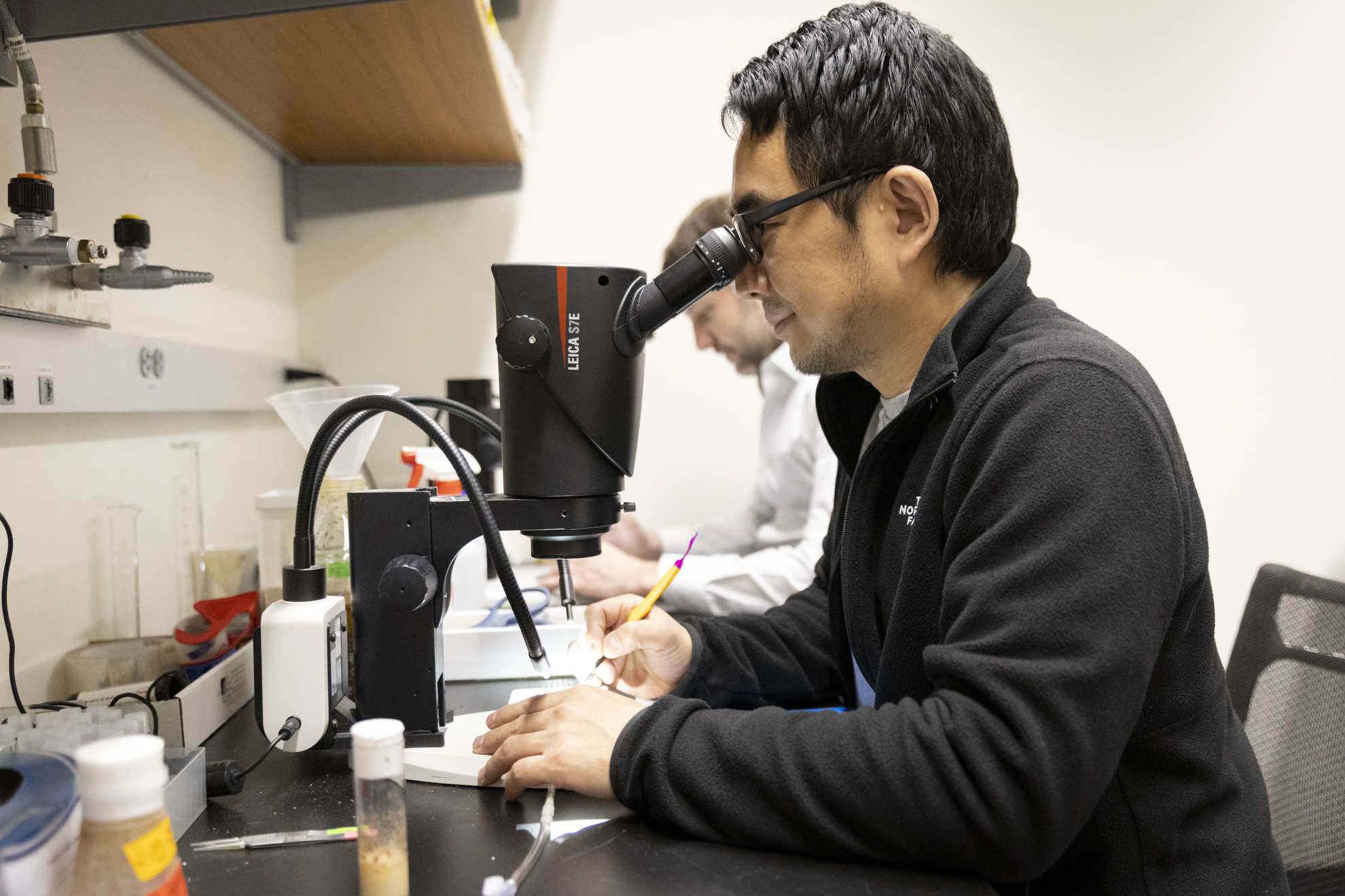 ‘We have a way of steering a fly like you would a car’ — Harvard Gazette