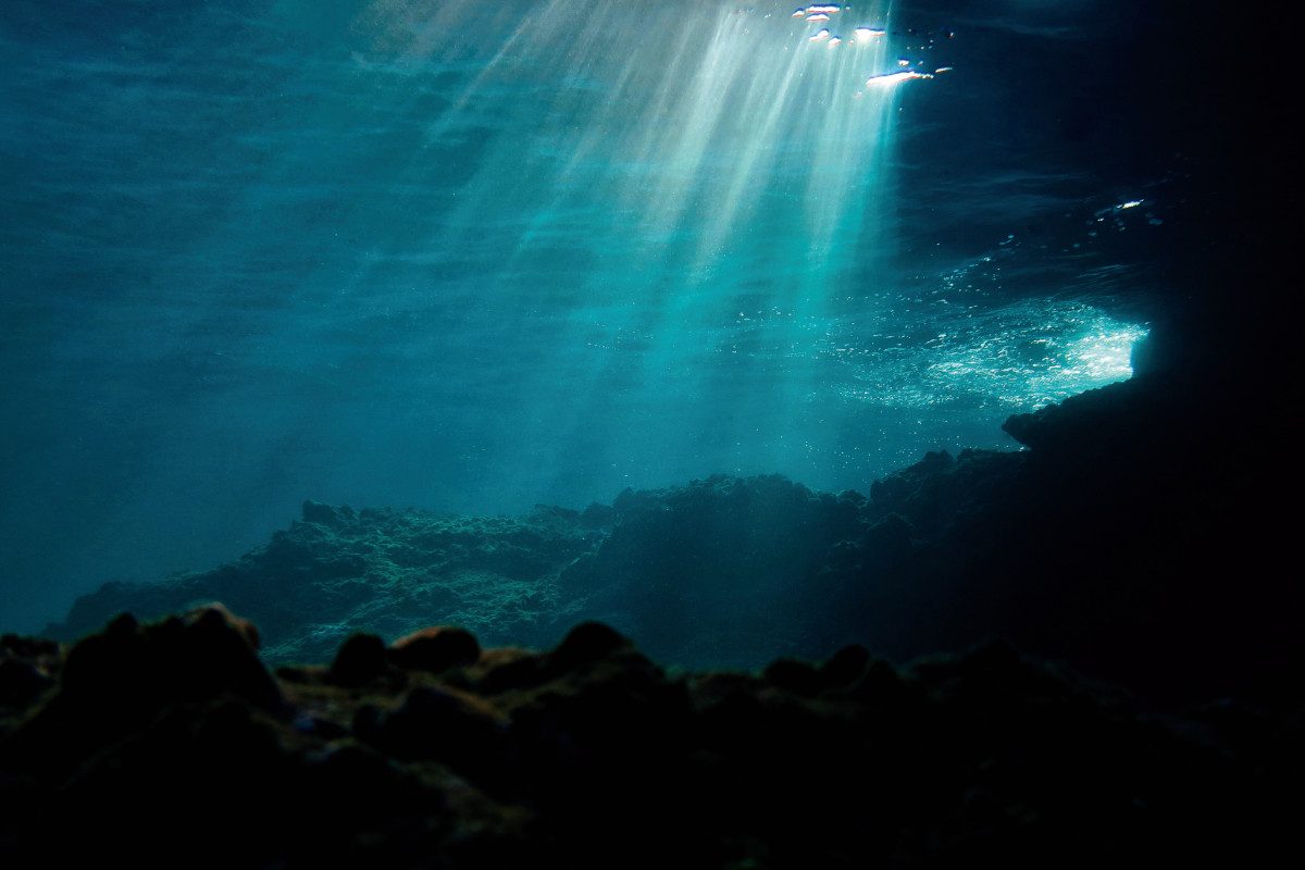 The ocean’s depths have some truly bizarre seasons