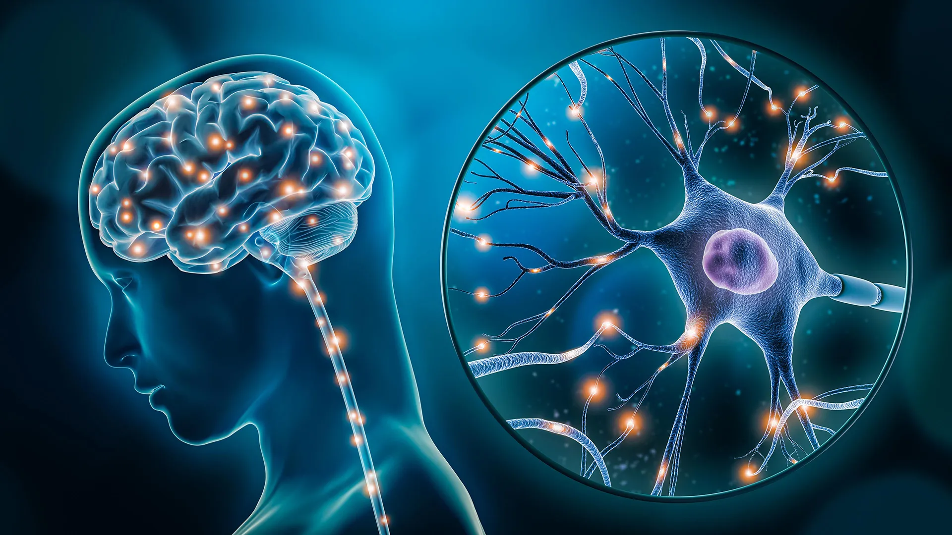 Running rewires your brain cells—igniting memory-saving genes against alzheimer’s
